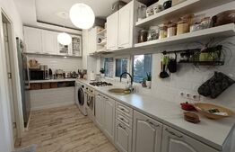 Apartament 3 camere, pe doua niveluri, 70 mp, lux, zona Gheorgheni