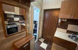 Garsoniera de 25 mp, mobilata si utilata, zona Expo Transilvania