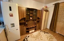 Garsoniera de 25 mp, mobilata si utilata, zona Expo Transilvania