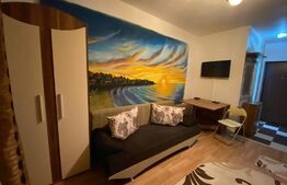 Garsoniera de 25 mp, mobilata si utilata, zona Expo Transilvania