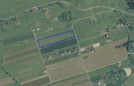 Exclusivitate! Investitie imobiliara, 11600 mp, Donath Nord Floresti