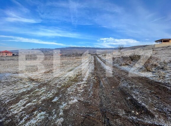 Teren de vânzare Floreşti - 109070TV | BLITZ Cluj-Napoca | Poza5