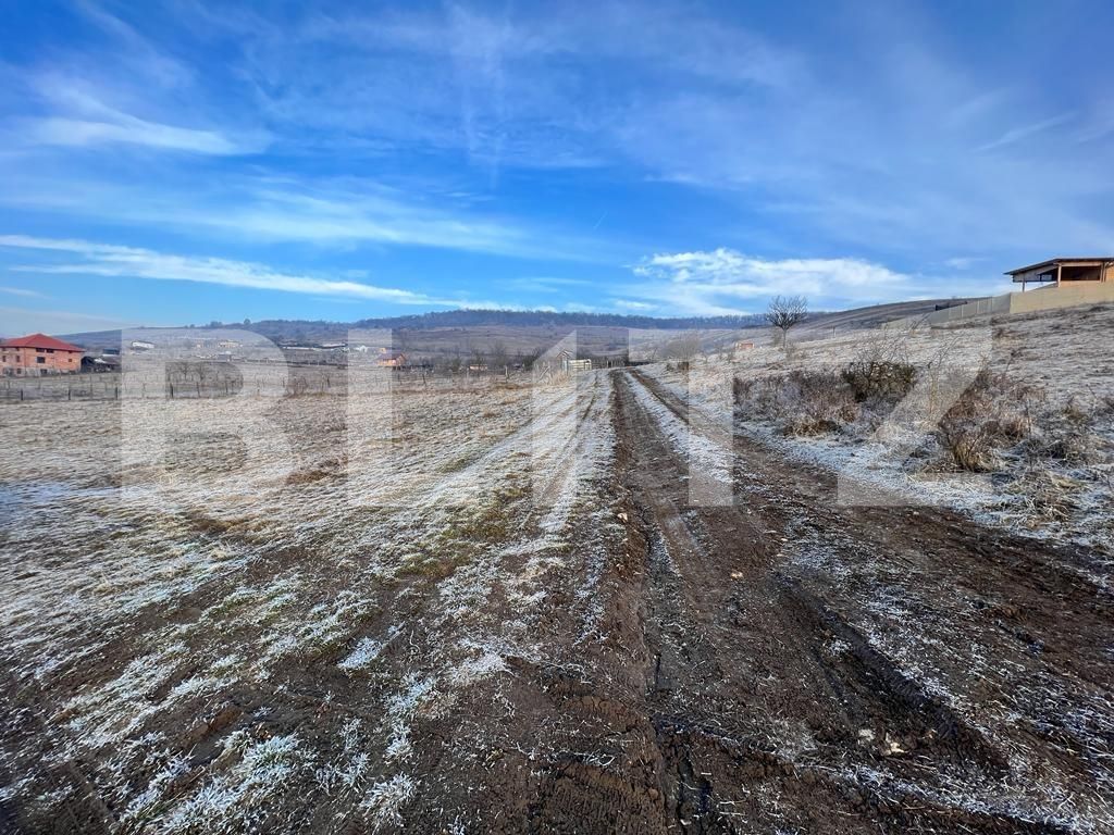 Teren de vânzare Floreşti - 109070TV | BLITZ Cluj-Napoca | Poza5