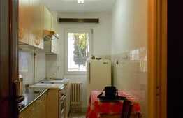 Vanzare apartament 2 camere, 40 mp utili, 1 garaj, zona Profi! Complet mobilat!