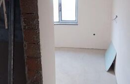 Casa P + Pod mansardabil cartier Raza Soarelui Sacele