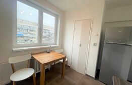 Apartament 2 camere, 45 mp, pet friendly, zona Interservisan