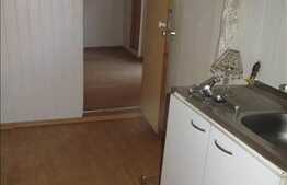 Apartament 1 camera, 25 mp utili, curte comuna, zona Farmec