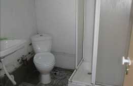 Apartament 1 camera, 25 mp utili, curte comuna, zona Farmec