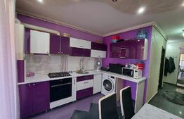 Apartament 2 camere de lux, zona Porii