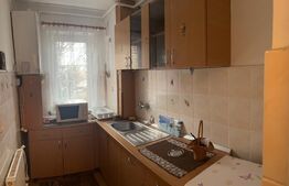 Apartament de 3 camere, 49 mp, mobilat, zona Grivitei