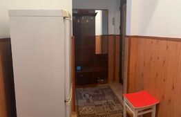 Apartament de 3 camere, 49 mp, mobilat, zona Grivitei