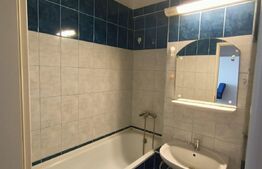 Garsoniera decomandata, 40 mp, zona Iulius Mall