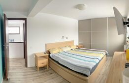 OFERTA LUNII! Casa individuala 150 mp utili, 504 mp teren, Dezmir 