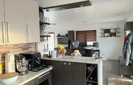 OFERTA LUNII! Casa individuala 150 mp utili, 504 mp teren, Dezmir 