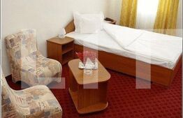 Vila cu 10 camere, 250 mp, zona Marasti, curte privata