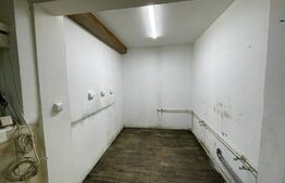 Spatiu ALIMENTATIE PUBLICA, 198mp, zona Piezisa