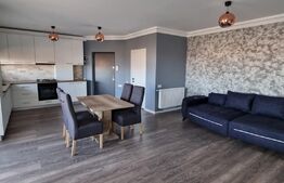  Apartament 2 cam, 59 mp, terasa 46 mp, finisat, zona Cetatii