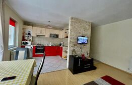 Apartament spatios, 2 camere, zona Muzeul Apei