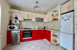 Apartament spatios, 2 camere, zona Muzeul Apei