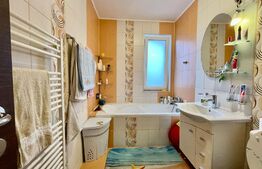 Apartament spatios, 2 camere, zona Muzeul Apei