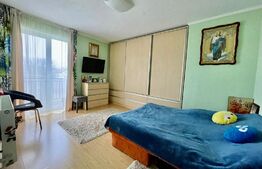 Apartament spatios, 2 camere, zona Muzeul Apei