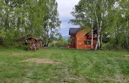 Cabana 96 mp utili, 2350 mp teren,  zona superba, Calatele Padure