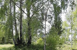 Cabana 96 mp utili, 2350 mp teren,  zona superba, Calatele Padure