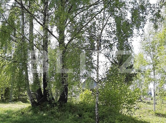 Casa de vânzare 4 camere Călăţele - 109563CV | BLITZ Cluj-Napoca | Poza17