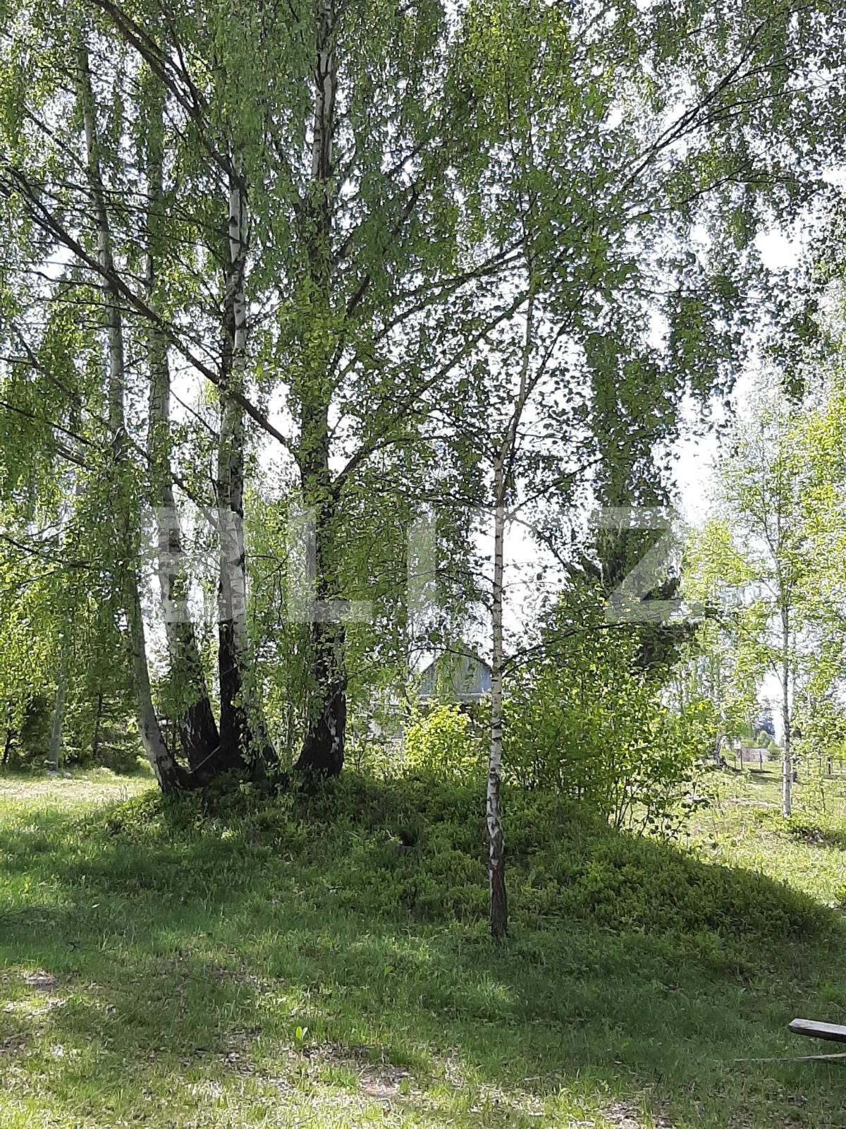 Casa de vânzare 4 camere Călăţele - 109563CV | BLITZ Cluj-Napoca | Poza17