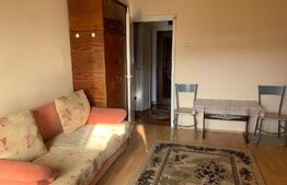 Garsonieră 28 mp, orientare S-V, view spre pădure, Mănăștur