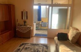 Garsonieră 28 mp, orientare S-V, view spre pădure, Mănăștur