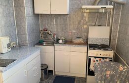 Garsonieră 28 mp, orientare S-V, view spre pădure, Mănăștur