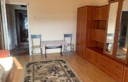 Garsonieră 28 mp, orientare S-V, view spre pădure, Mănăștur