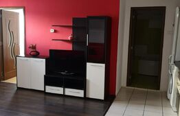 Apartament 2 camere, 46 mp, parcare, petfriendly, zona Teilor 