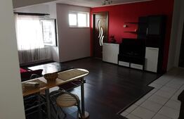 Apartament 2 camere, 46 mp, parcare, petfriendly, zona Teilor 