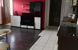 Apartament 2 camere, 46 mp, parcare, petfriendly, zona Teilor 