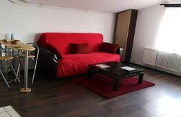 Apartament 2 camere, 46 mp, parcare, petfriendly, zona Teilor 
