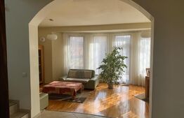 Casa individuala, cu front la 2 strazi, Dambu Rotund