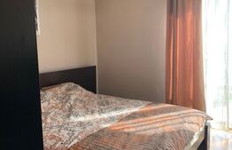 Casa individuala, cu front la 2 strazi, Dambu Rotund