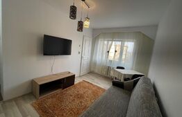 Garsoniera, pet friendly, 30 mp, zona Fabricii de Zahăr 