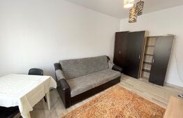 Garsoniera, pet friendly, 30 mp, zona Fabricii de Zahăr 