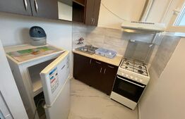 Garsoniera, pet friendly, 30 mp, zona Fabricii de Zahăr 