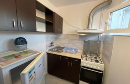 Garsoniera, pet friendly, 30 mp, zona Fabricii de Zahăr 