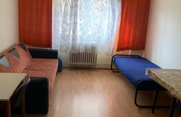 Apartament 2 camere, finisaje clasice, Lombului