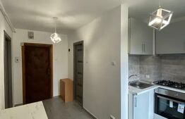 Apartament 1 camera, 33 mp si balcon, renovat, orientare S-E in Manastur