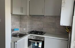 Apartament 1 camera, 33 mp si balcon, renovat, orientare S-E in Manastur