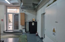 Spatiu comercial, 245 mp, cu terasa 100 mp, in Zorilor