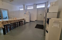 Spatiu comercial, 245 mp, cu terasa 100 mp, in Zorilor