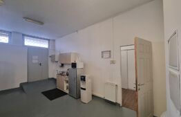 Spatiu comercial, 245 mp, cu terasa 100 mp, in Zorilor