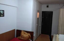 Garsoniera, 20 mp, etaj intermediar, zona Bulevardul Muncii